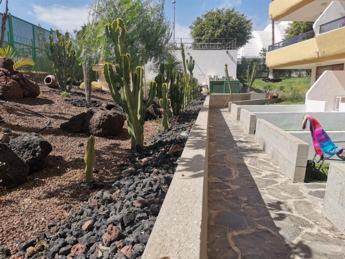 Sunny Cactus Garden Apartment 150M From Beach, Fast Fiber Wifi San Bartolomé Exterior foto